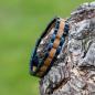 Preview: HOLZKERN Armband Dreiklang Eichenholz Blau