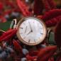 Preview: HOLZKERN | Amandes Damen Armbanduhr Perna