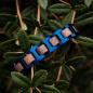 Preview: HOLZKERN | Bandlett Armband Capriccio (Walnussholz / Blau)
