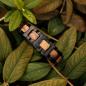 Preview: HOLZKERN | Bandlett Armband Capriccio (Zebranoholz / Schwarz)