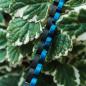 Preview: HOLZKERN Armband Duett Leadwood Blau