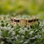 Preview: HOLZKERN | Staccato (Leadwood / Gold) Bandlet