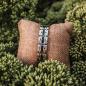 Preview: HOLZKERN | Tremolo (Leadwood / Silber) Armband Bandlett