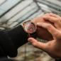 Preview: HOLZKERN Wildrebe Waldlauf Herren Chronograph
