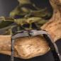 Preview: HOLZKERN | Kakadu Preserve Damen Holzarmbanduhr