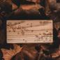 Preview: HOLZKERN | Doppelbox Catalpa (Herbstzauber)