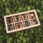 Preview: HOLZKERN | Sammlerbox View Catalpa (8)