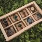 Preview: HOLZKERN | Sammlerbox View Catalpa (8)