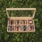 Preview: HOLZKERN | Sammlerbox View Catalpa (8)