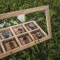 Preview: HOLZKERN | Sammlerbox View Catalpa (8)