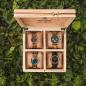 Preview: HOLZKERN | Sammlerbox Catalpa Happy Birthday