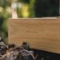 Preview: HOLZKERN | Sammlerbox Catalpa (4)