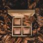Preview: HOLZKERN | Sammlerbox Catalpa Herbstzauber