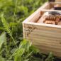 Preview: HOLZKERN | Sammlerbox Catalpa Hochzeitsglück