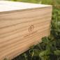 Preview: HOLZKERN | Sammlerbox Catalpa Hochzeitsglück