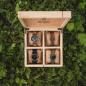 Preview: HOLZKERN | Sammlerbox Catalpa Ribbon
