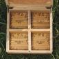 Preview: HOLZKERN | Sammlerbox Catalpa Sommertraum