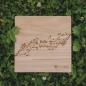 Preview: HOLZKERN | Sammlerbox Catalpa Spring