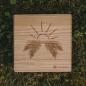 Preview: HOLZKERN | Sammlerbox Catalpa Sunrise