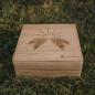 Preview: HOLZKERN | Sammlerbox Catalpa Sunrise