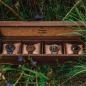 Preview: HOLZKERN | Sammlerbox Walnussholz (4)