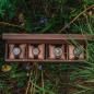 Preview: HOLZKERN | Sammlerbox Walnussholz (4)