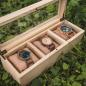 Preview: HOLZKERN | Triplebox View Catalpa