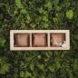 Preview: HOLZKERN | Triplebox View Catalpa