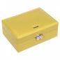 Preview: SACHER | Schmuckkasten Britta Coloranti Lederimitat lemon (13.000.504244)