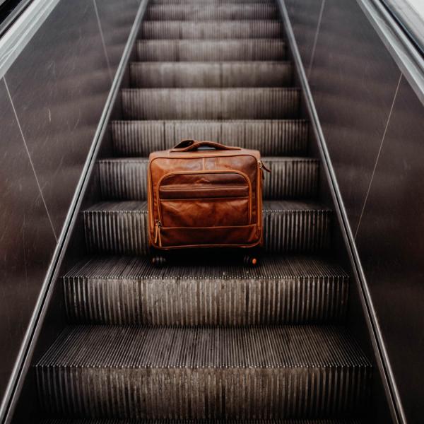 ALPENLEDER | Trolley AIRPORT (ebenholz) CG2158-e
