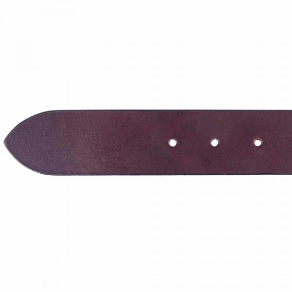 ALPENLEDER  Herrenledergürtel LECH koffee (CG6020-k)