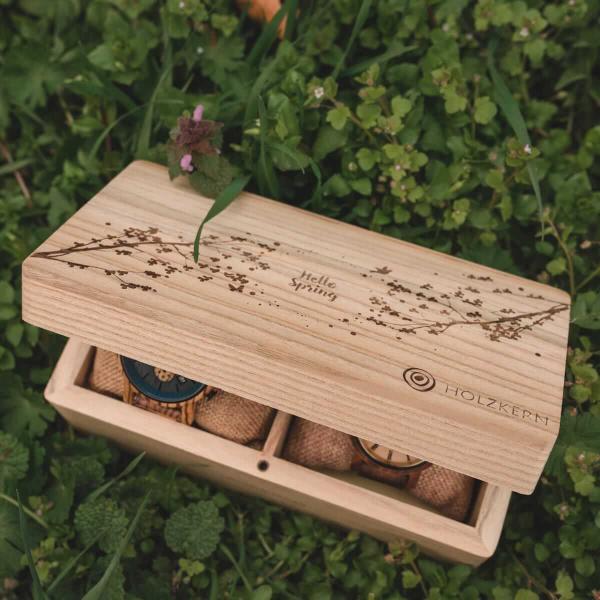 HOLZKERN | Doppelbox Catalpa (Spring)