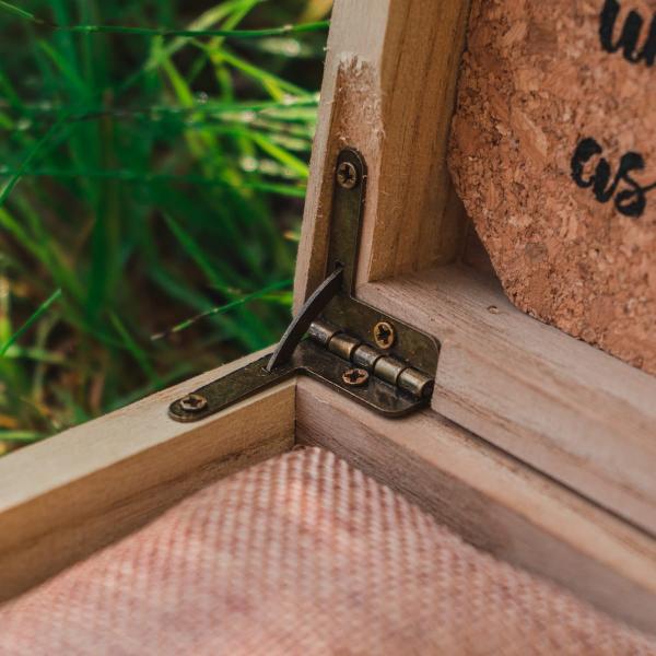 Preview: HOLZKERN | Einzelbox Collectors Box Catalpa (1)