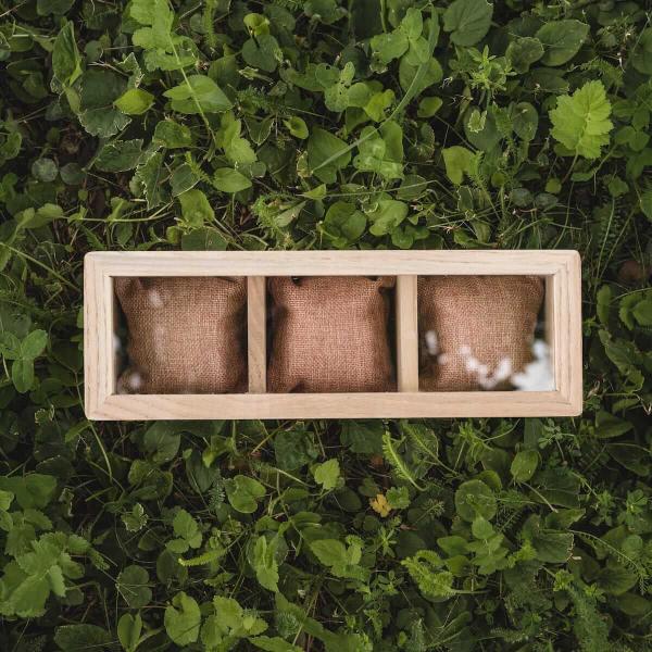 HOLZKERN | Triplebox View Catalpa