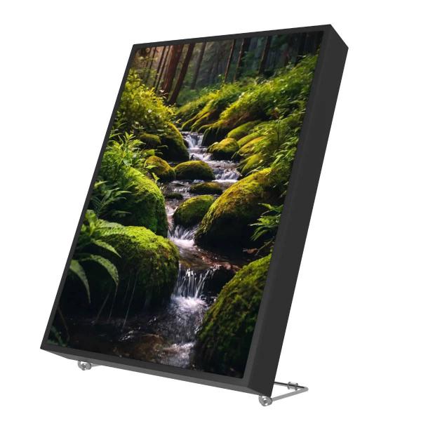 WHD | SoundPicture Mini Wald (101-400-99-100-00-Wald)