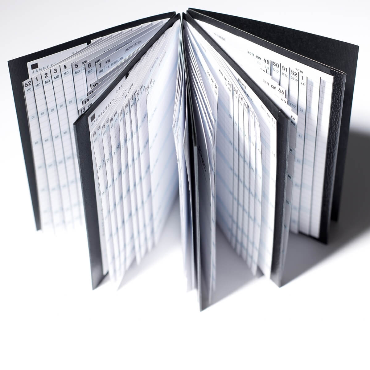 Ron McLaine Taschenkalender 2025EASYfolder