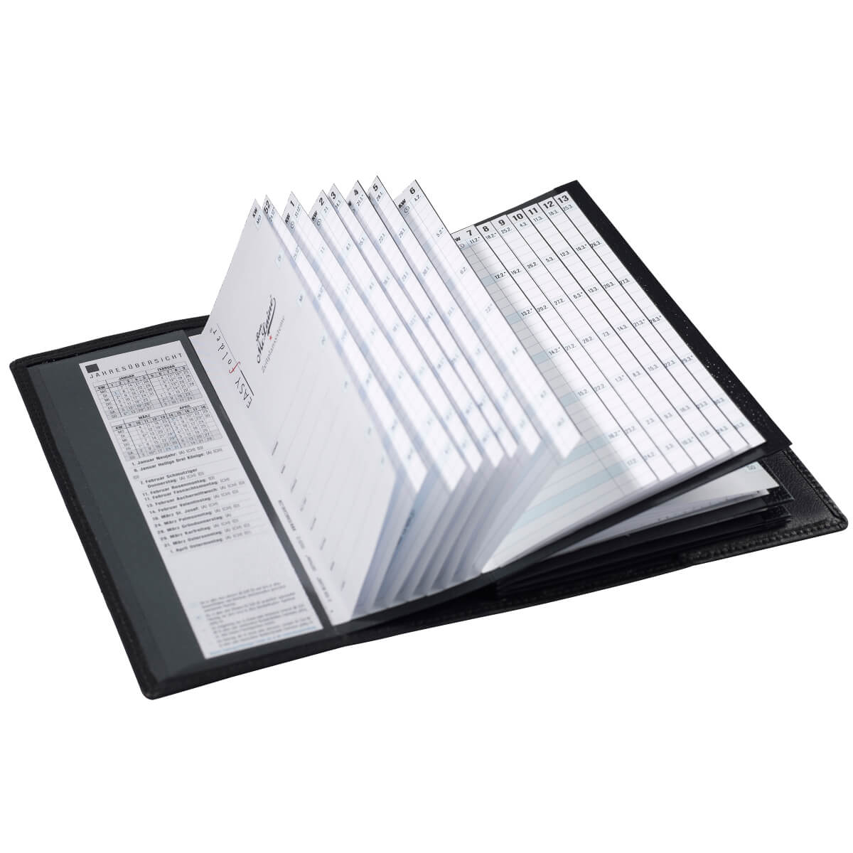 Ron McLaine Taschenkalender 2025 EASYfolder Set SIENA