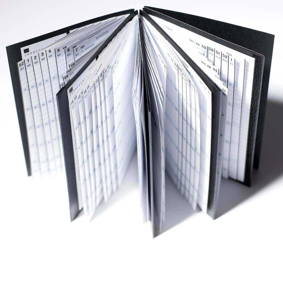 Ron McLaine Taschenkalender 2025 EASYfolder Set SIENA