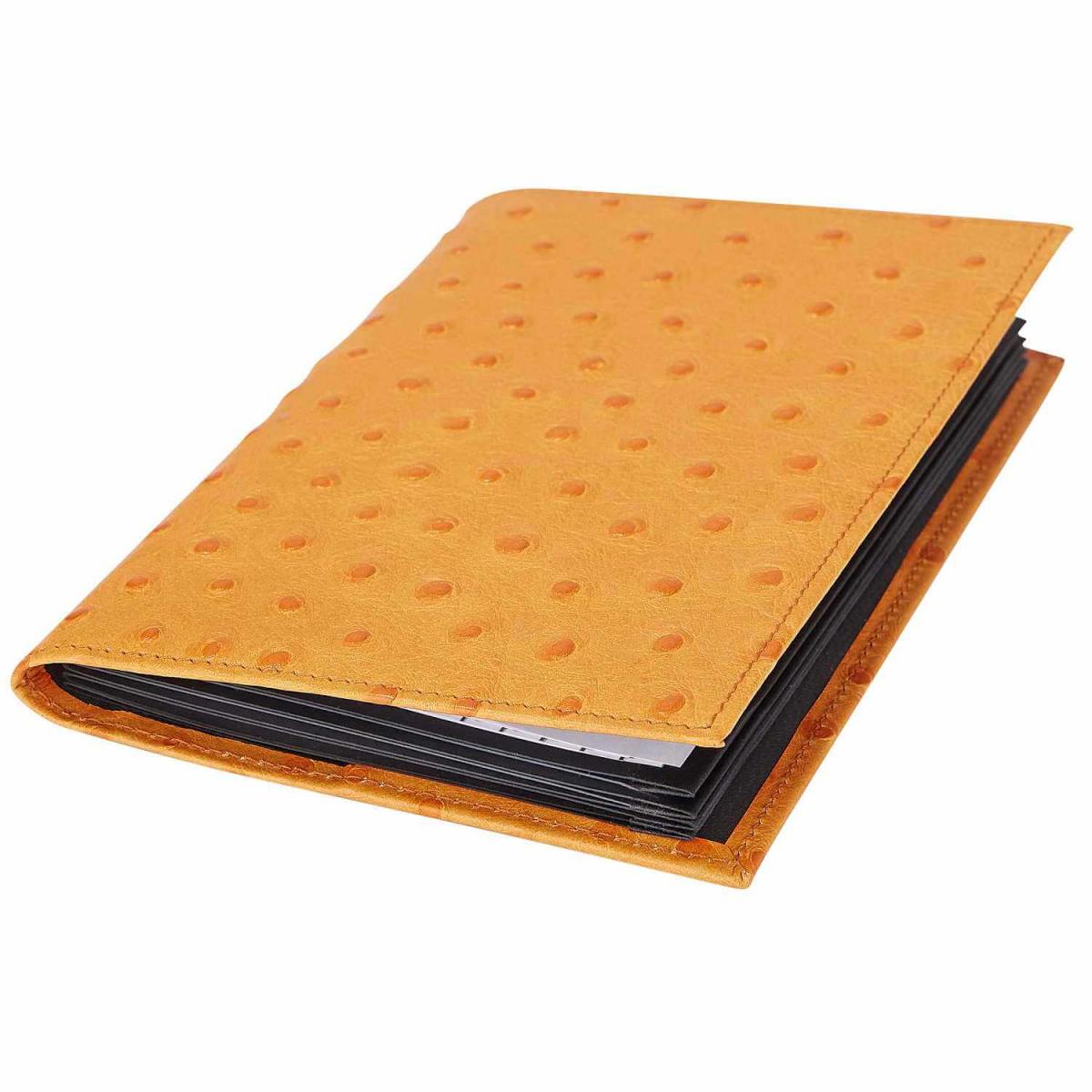Ron McLaine Taschenkalender 2025 EASYfolder Set FLORENZ Rindleder Straußprägung zimt