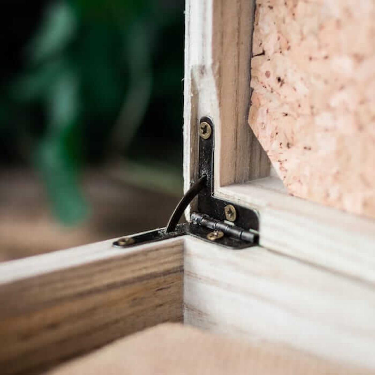 HOLZKERN | Doppelbox Catalpa (2)