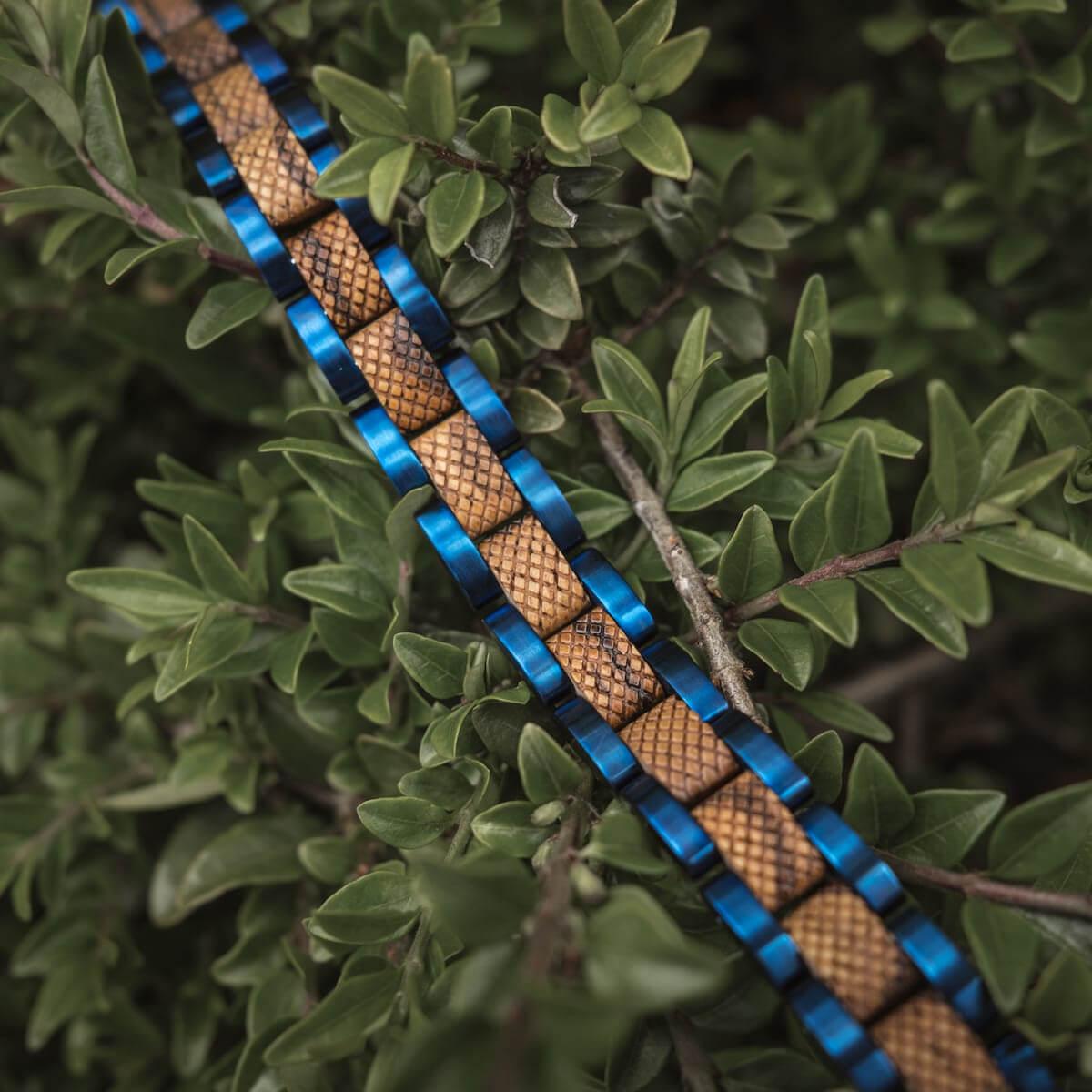HOLZKERN | Accord (Zebranoholz / Blau)