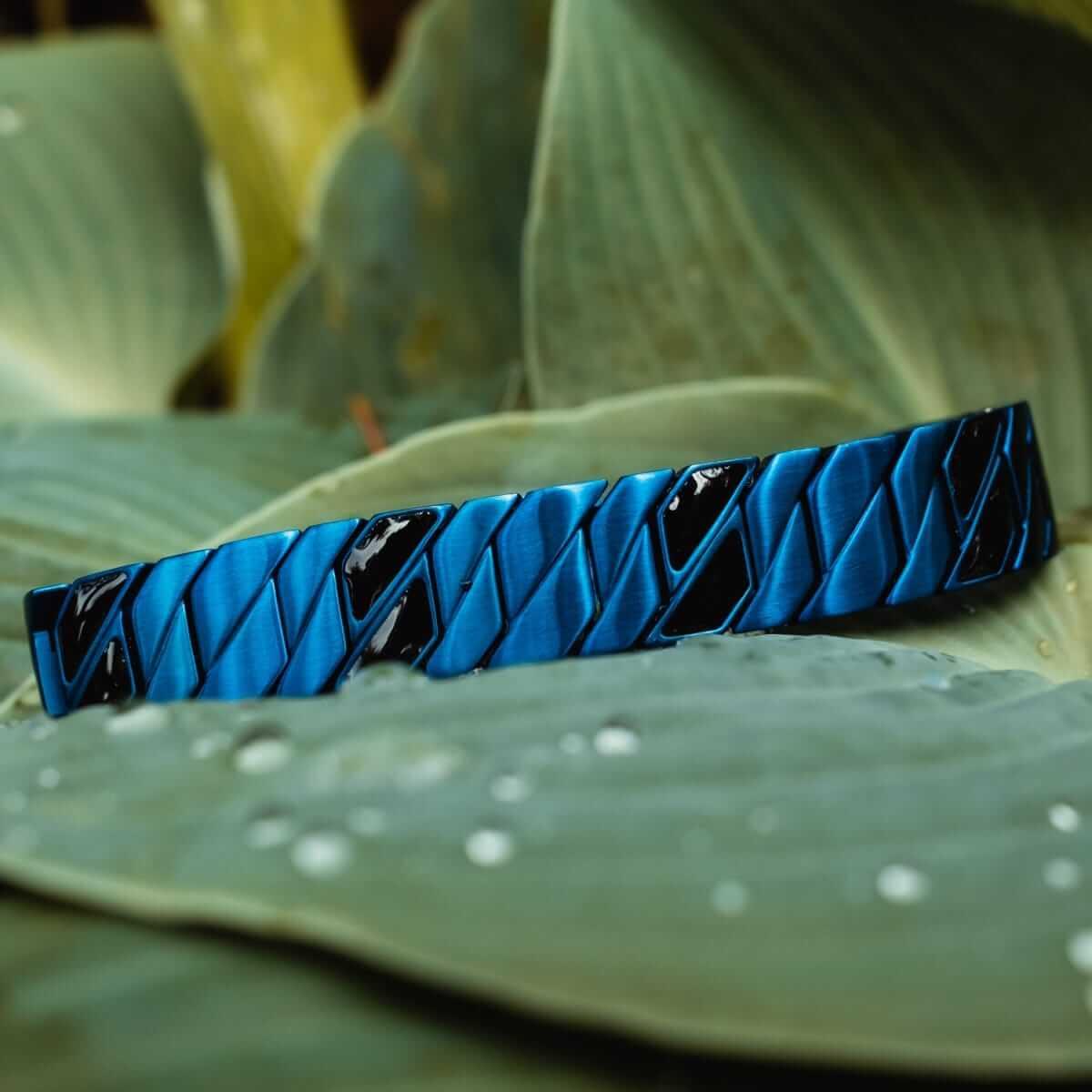 HOLZKERN | Armband Bandlett Bariton (Ahorn / Blau)