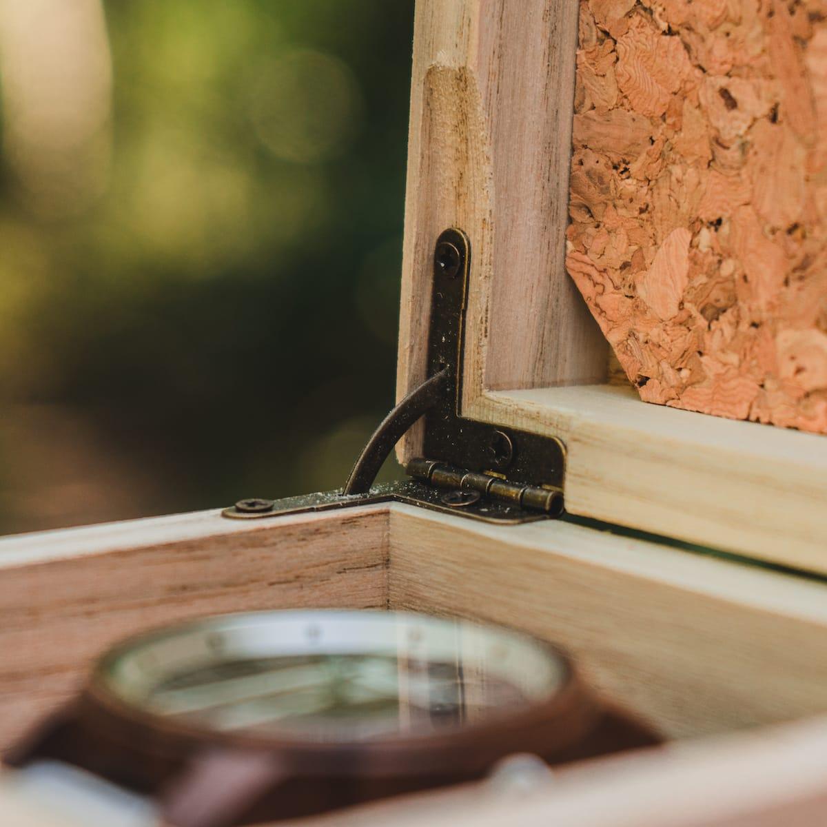 HOLZKERN | Sammlerbox Catalpa (4)
