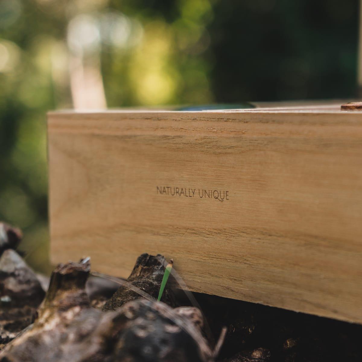 HOLZKERN | Sammlerbox Catalpa (4)