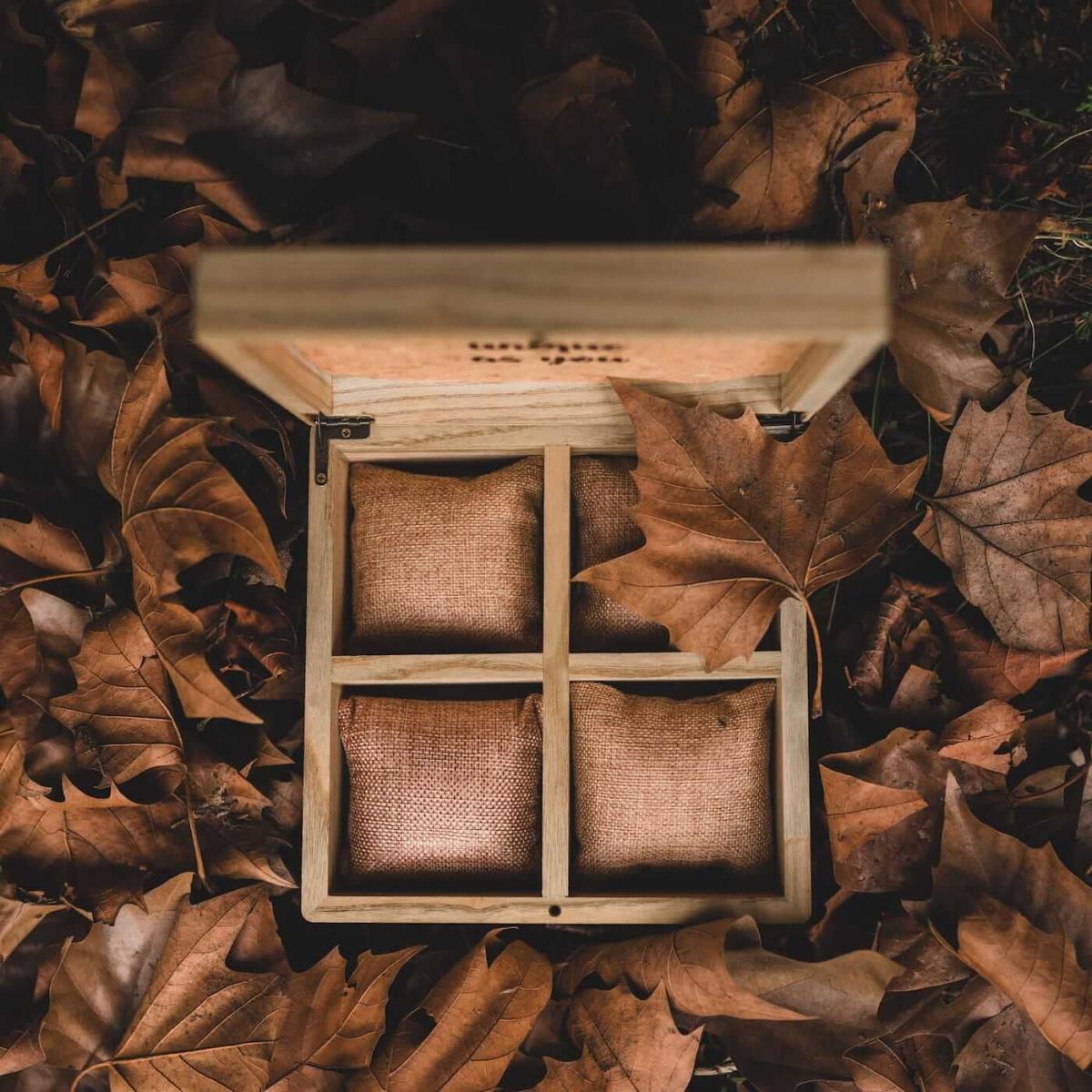 HOLZKERN | Sammlerbox Catalpa Herbstzauber