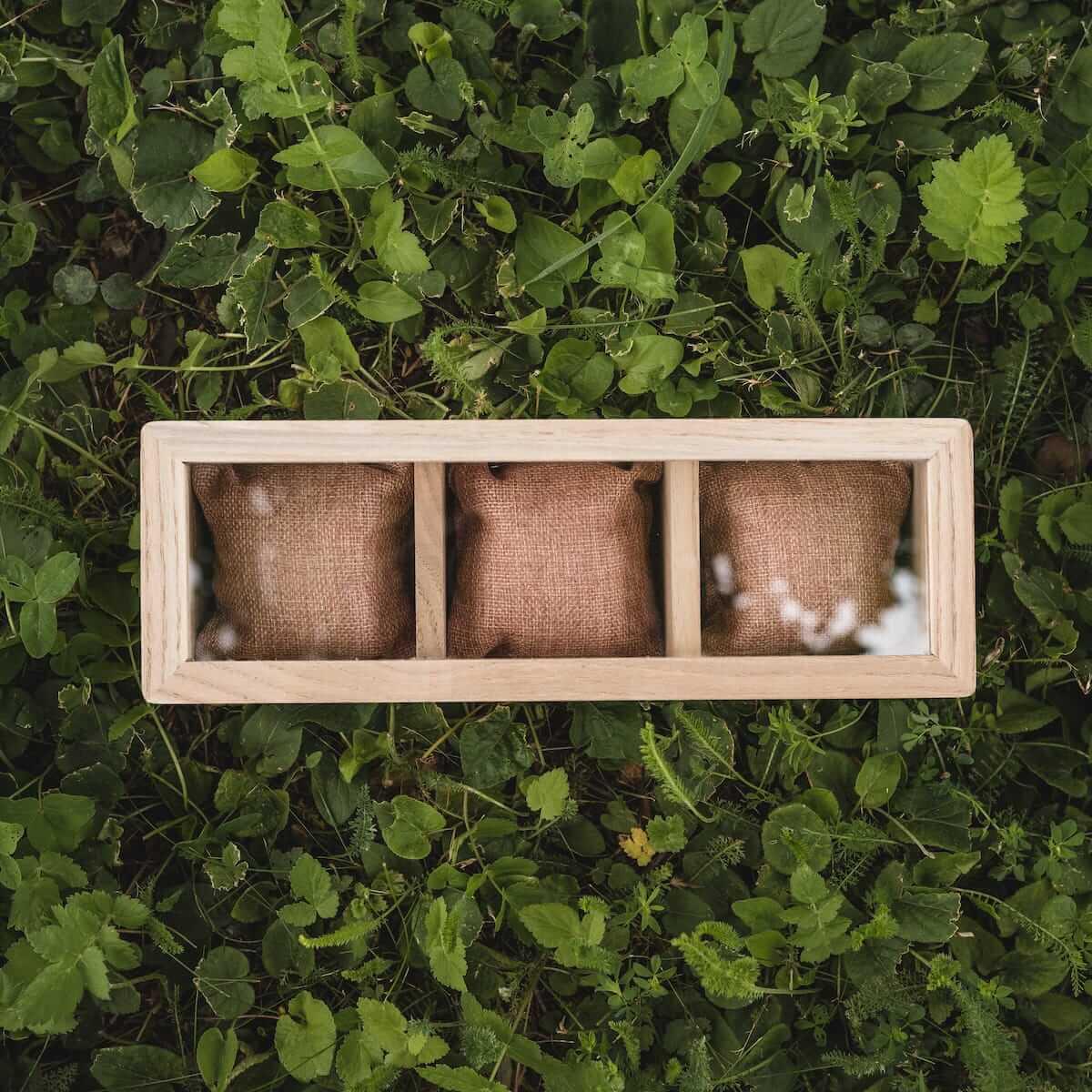 HOLZKERN | Triplebox View Catalpa
