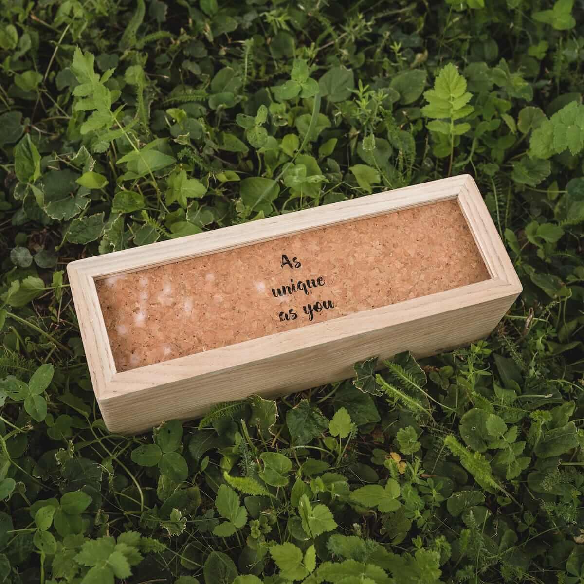 HOLZKERN | Triplebox View Catalpa