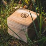 HOLZKERN Einzelbox Catalpa